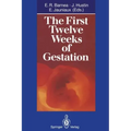 The First Twelve Weeks of Gestation