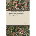 A Collection of Articles on Indoor Cacti - A Guide to Growing and Care