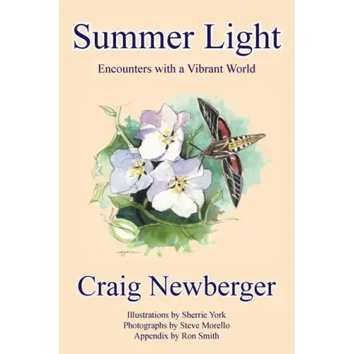 Summer Light: Encounters with a Vibrant World