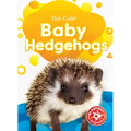 Baby Hedgehogs