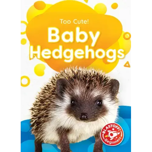 Baby Hedgehogs