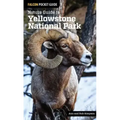 Nature Guide to Yellowstone National Park