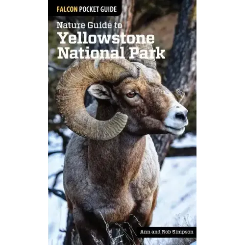 Nature Guide to Yellowstone National Park
