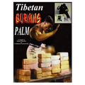 Tibetan Burning Palm