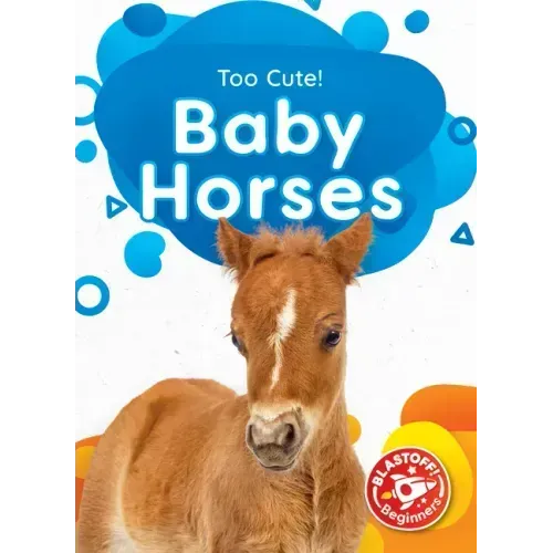 Baby Horses