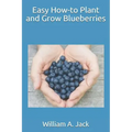 Easy How-To Plant and Grow Blueberries