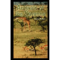Animals of the Savannah