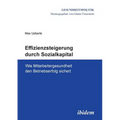 Effizienzsteigerung durch Sozialkapital. Wie Mitarbeitergesundheit den Betriebserfolg sichert