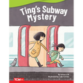 Ting's Subway Mystery