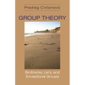 Group Theory: Birdtracks, Lie's, and Exceptional Groups