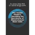 The Hidden Healers: Decoding the Secretome of Mesenchymal Stem Cells