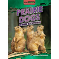 Prairie Dogs in Their Ecosystems