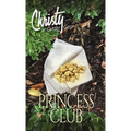 The Princess Club