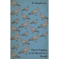 Pigeon Trapping in the Old and New Worlds