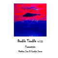 Double Trouble Vol III - Poemetrics: Poemetrics