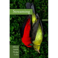 Streaming