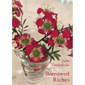 Borrowed Riches