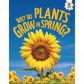 Why Do Plants Grow in Spring?