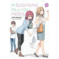 A Sister's All You Need., Vol. 13 (Light Novel): Volume 13
