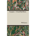 Scorpion - A Good Bad Horse