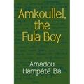 Amkoullel, the Fula Boy