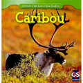 Caribou