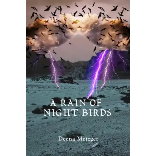 A Rain of Night Birds