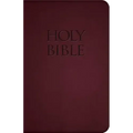 Holy Bible-Nab