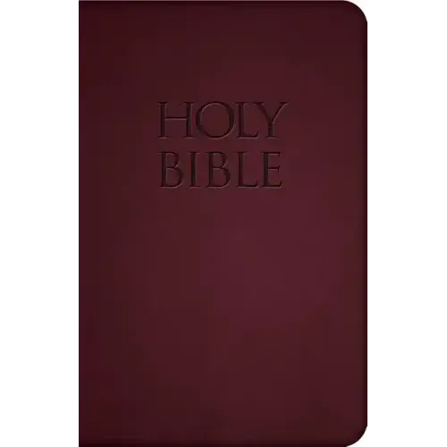 Holy Bible-Nab