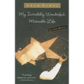 My Incredibly Wonderful, Miserable Life: An Anti-Memoir
