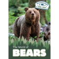 The World of Bears