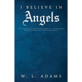 I Believe in Angels: The Miraculous True-Life Story of Catastrophic Vehicle Collision Survivor Ashley