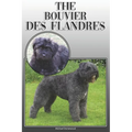 The Bouvier Des Flandres: A Complete and Comprehensive Owners Guide To: Buying, Owning, Health, Grooming, Training, Obedience, Understanding and