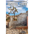 A Landscape Photographer's Guide to Joshua Tree National Park