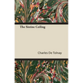 The Sistine Ceiling