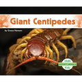 Giant Centipedes
