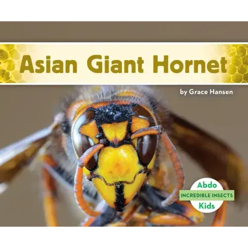 Asian Giant Hornet