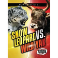 Snow Leopard vs. Wild Yak