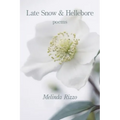 Late Snow and Hellebore