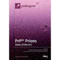PrPSc Prions: State of the Art