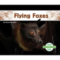 Flying Foxes