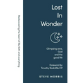 Lost in Wonder: Glimpsing Awe, God and the Good Life (Rediscovering Faith Life And Everything)