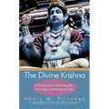 The Divine Krishna: A Workbook for Interpreting the Teachings in the Bhagavad Gita