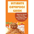 Ultimate Cavapoos Guide: What You Should Know To Buy, Train, Raise & Take Care Of Them: Cavapoo Living Needs