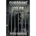 Subprime Felon: Inside Federal Prison Camp