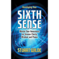 Developing Your Sixth Sense: Master Your Awareness for Greater Clarity, Wisdom and Power