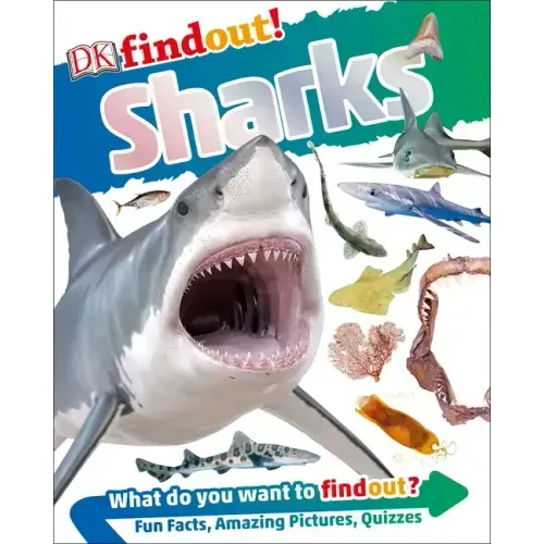 Dkfindout! Sharks