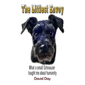 The Littlest Envoy: What a small Schnauzer taught me about humanity