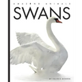 Swans