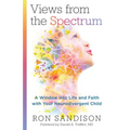 Views from the Spectrum: A Window Into Life and Faith with Your Neurodivergent Child